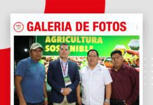 📷Galería de fotos | El apoyo del Banco Fie al productor