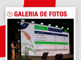 📷Galería de fotos | El sorgo en las Américas