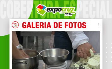 📷Galería de fotos | Elaboración de queso de leche de búfala