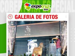 📷Galería de fotos | Emotivo remate Pintura Gyr de cabaña Esterlina
