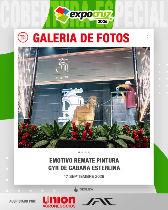 Emotivo-remate-Pintura-Gyr-de-cabaña-Esterlina0