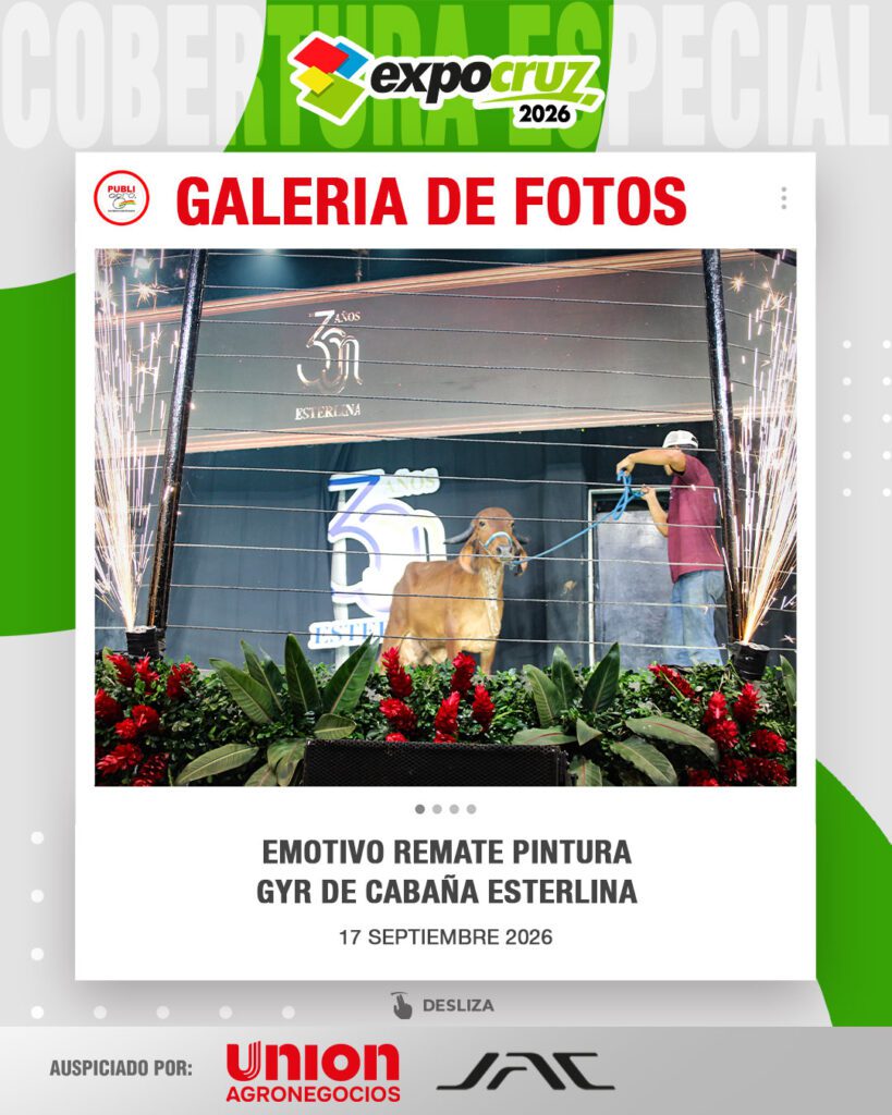 Emotivo-remate-Pintura-Gyr-de-cabaña-Esterlina0