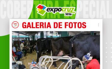 📷Galería de fotos | Excelencia genética lechera