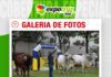 📷Galería de fotos | Expocruz 2026 ya tiene a los más pesados