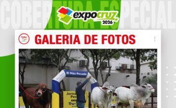 📷Galería de fotos | Expocruz 2026 ya tiene a los más pesados