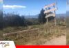 En las alturas de Vallegrande, la lima se convierte en el fruto estrella de Coillpa A 1.700 metros de altura se encuentra Coillpa en Vallegrande/ Foto: Irwin Montaño