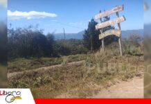 En las alturas de Vallegrande, la lima se convierte en el fruto estrella de Coillpa A 1.700 metros de altura se encuentra Coillpa en Vallegrande/ Foto: Irwin Montaño