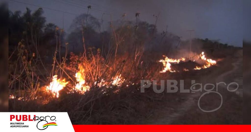 El riesgo de incendios mediante el control de la acumulación de material combustible / Foto: Internet