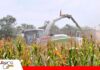 Productores de maíz enfrentan escasez de diésel, falta de biotecnología y mayores costos Los productores de maíz y sorgo enfrentan la escasez de diésel / Foto: Internet