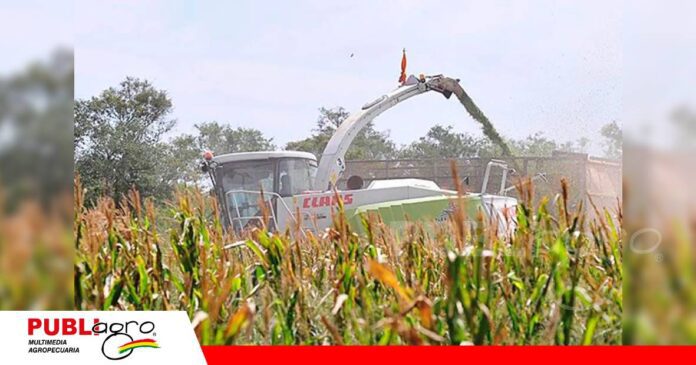 FOTO NOTAS WEB - 2026-09-07T160503.542 Los productores de maíz y sorgo enfrentan la escasez de diésel / Foto: Internet