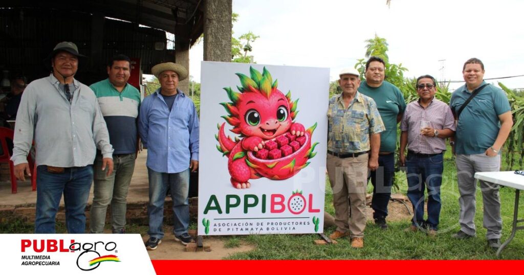 APPIBOL busca industrializar y exportar pitahaya/ Foto: Publiagro