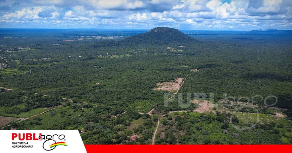 FOTO NOTAS WEB - 2026-09-08T165857.170 Estafados por trámites de saneamiento de tierras / Foto: Internet