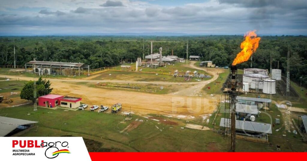 FOTO NOTAS WEB - 2026-09-08T201849.315 Plantean un mercado de combustibles sin el control de YPFB/ Foto: Internet