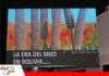 El mijo emerge como una opción para producir con menos agua Mijo, una alternativa agrícola frente al desafío del agua/ Foto: Publiagro