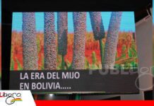El mijo emerge como una opción para producir con menos agua Mijo, una alternativa agrícola frente al desafío del agua/ Foto: Publiagro