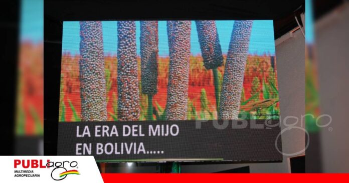 FOTO NOTAS WEB - 2026-09-09T074014.152 Mijo, una alternativa agrícola frente al desafío del agua/ Foto: Publiagro