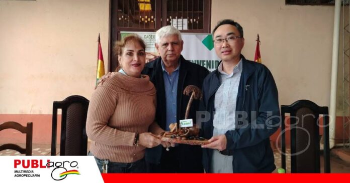 FOTO NOTAS WEB - 2026-09-09T201422.975 Riberalta abre una ventana comercial hacia China/ Foto: Beni Rural