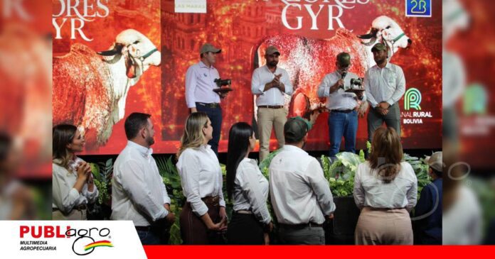 Una alianza que trae a Bolivia 30 años de selección genética en Gyr Lechero/ Foto: Publiagro
