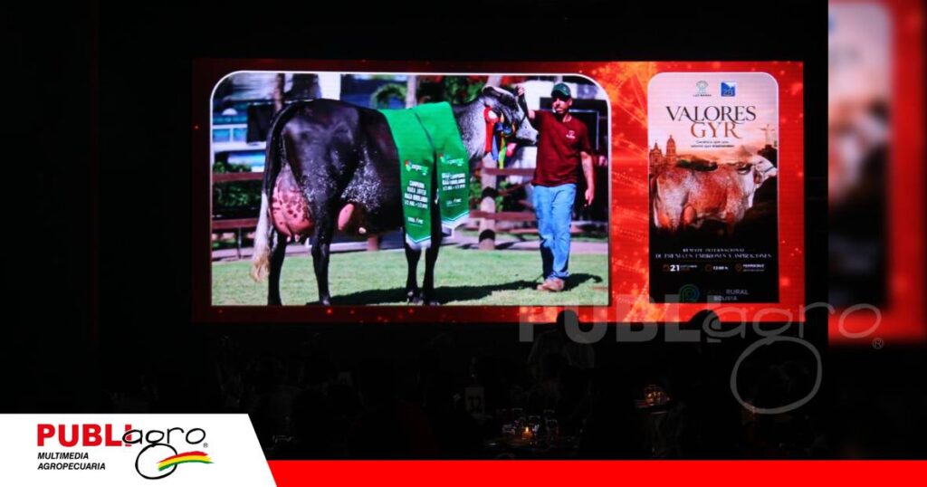 Tambien entro en remate aspiración de una gran campeona girolando/ Foto: Publiagro