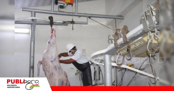 Faena de búfalo en el frigorífico El Carmen/ Foto: Publiagro