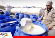El costo del diésel lleva a productores de leche a negociar un nuevo precio con la industria Fedeple ya inició reuniones con PIL para alcanzar un acuerdo en el precio/ Foto: Internet