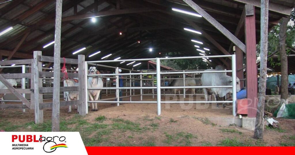 Concepción alista infraestructura para juzgamiento/ Foto: Publiagro