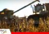 Créditos al 6% y 6,5%: conoce los cuatro préstamos para productores y para qué sirve cada uno Cuatro prestamos para el productor/ Foto: Internet