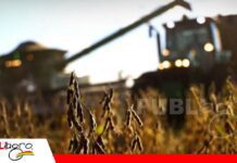 Créditos al 6% y 6,5%: conoce los cuatro préstamos para productores y para qué sirve cada uno Cuatro prestamos para el productor/ Foto: Internet