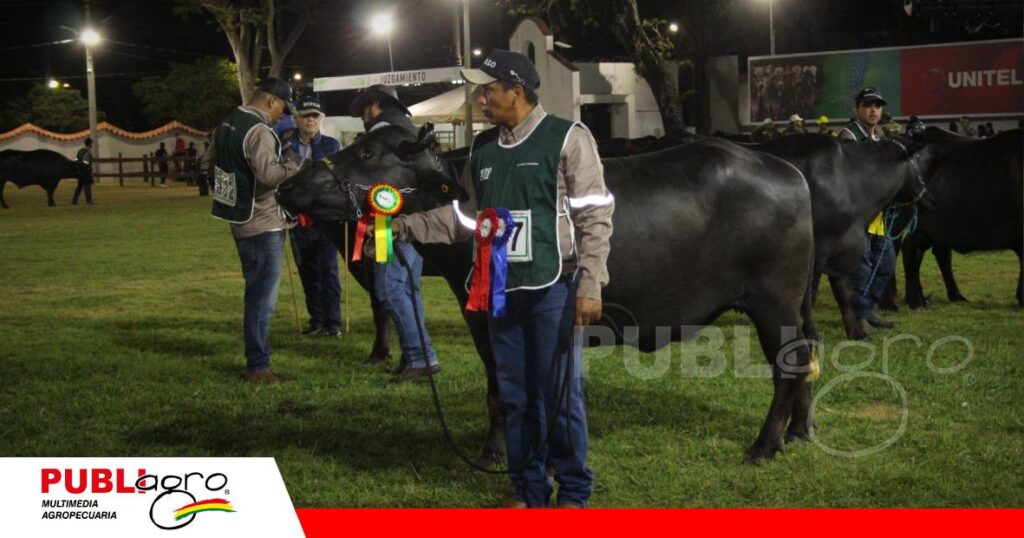 La gran campeona Murrah/ Foto: Publiagro