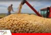 Sector agropecuario pide diésel suficiente en Santa Cruz CAO reclama abastecimiento oportuno de diésel en Santa Cruz/ Foto: Internet