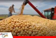 Sector agropecuario pide diésel suficiente en Santa Cruz CAO reclama abastecimiento oportuno de diésel en Santa Cruz/ Foto: Internet