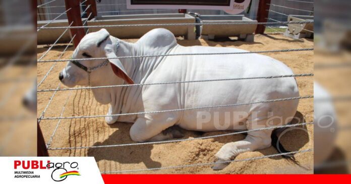 Del concreto al campo, Concreríos con su propuesta en San Luis del Cuchi/ Foto: Publiagro