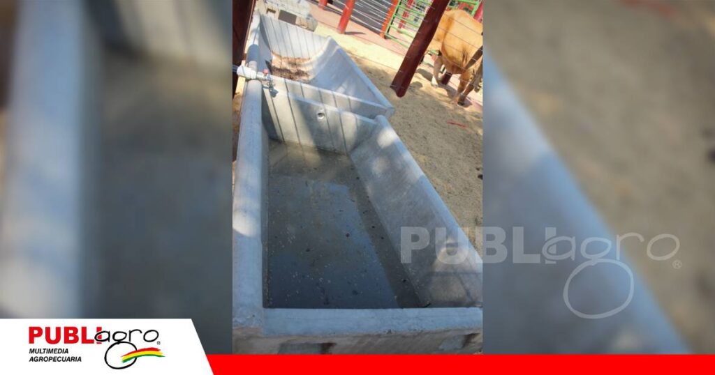 Bebederos de calidad y bienestar animal/ Foto: Publiagro