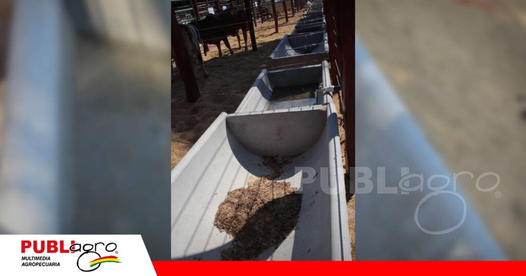 Comederos para el ganado/ Foto: Publiagro