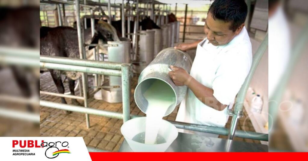 30% y un 40% alza de la leche/ Foto: Internet