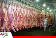 Exportación de carne bovina genera $us 121 millones hasta julio y mantiene a China como principal destino Bolivia sostiene sus ventas externas de carne/ Foto: Internet