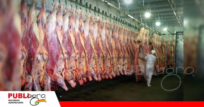 Bolivia sostiene sus ventas externas de carne/ Foto: Internet