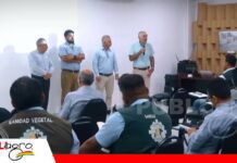 Insumos y semillas buscan igualdad tributaria Insumos y semillas buscan igualdad tributaria/ Foto:Internet