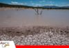 Super Niño: productores deben prepararse para meses críticos Super Niño pone en alerta al agro/ Foto: Internet