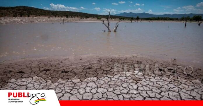 Super Niño pone en alerta al agro/ Foto: Internet