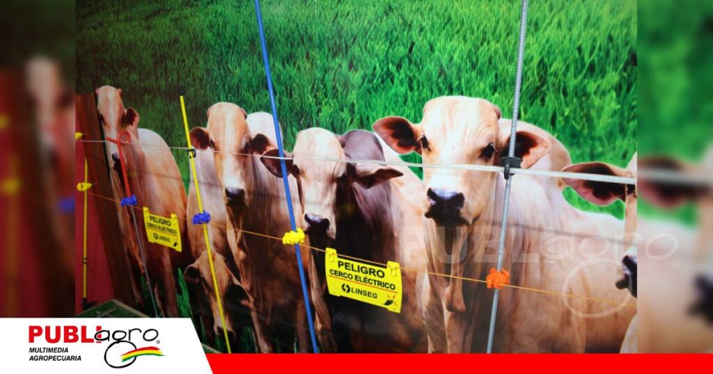 Ganadería más eficiente con cercos eléctricos/ Foto: Publiagro