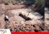 Sequía avanza en el Chaco chuquisaqueño y pone en riesgo a miles de cabezas de ganado Alerta por falta de agua en Chuquisaca/ Foto: AGADECH