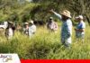 PPP Bolivia integra producción y conservación en 210 mil hectáreas El modelo PPP Bolivia avanza con prácticas regenerativas y conservación de biodiversidad/ Foto: Internet