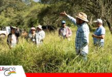 PPP Bolivia integra producción y conservación en 210 mil hectáreas El modelo PPP Bolivia avanza con prácticas regenerativas y conservación de biodiversidad/ Foto: Internet
