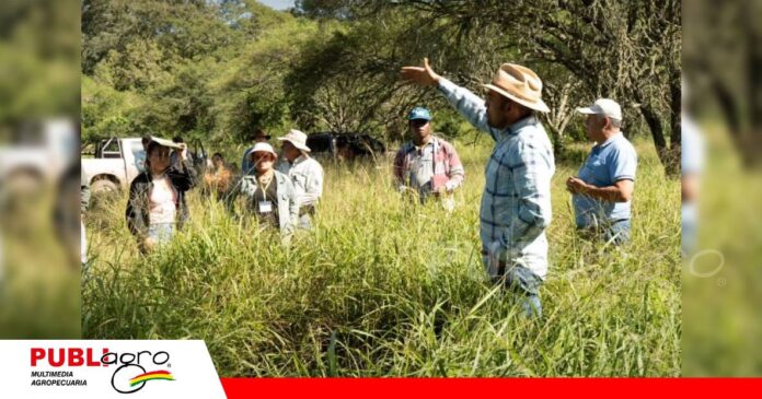 El modelo PPP Bolivia avanza con prácticas regenerativas y conservación de biodiversidad/ Foto: Internet