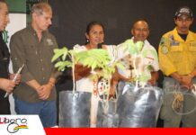 Padrinazgo de árboles busca fortalecer la conservación de bosques y la ganadería sostenible Conservación de bosques y la ganadería sostenible/ Foto: Publiagro