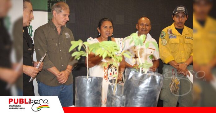 FOTO NOTAS WEB - 2026-09-29T164620.332 Conservación de bosques y la ganadería sostenible/ Foto: Publiagro