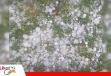 Fuerte granizada afecta cultivos y producción frutícola en comunidades del sur de Pucará Temporal con granizada y vientos intensos/ Foto: Internet