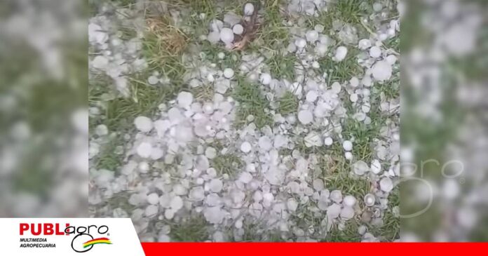 FOTO NOTAS WEB - 2026-09-30T075910.902 Temporal con granizada y vientos intensos/ Foto: Internet