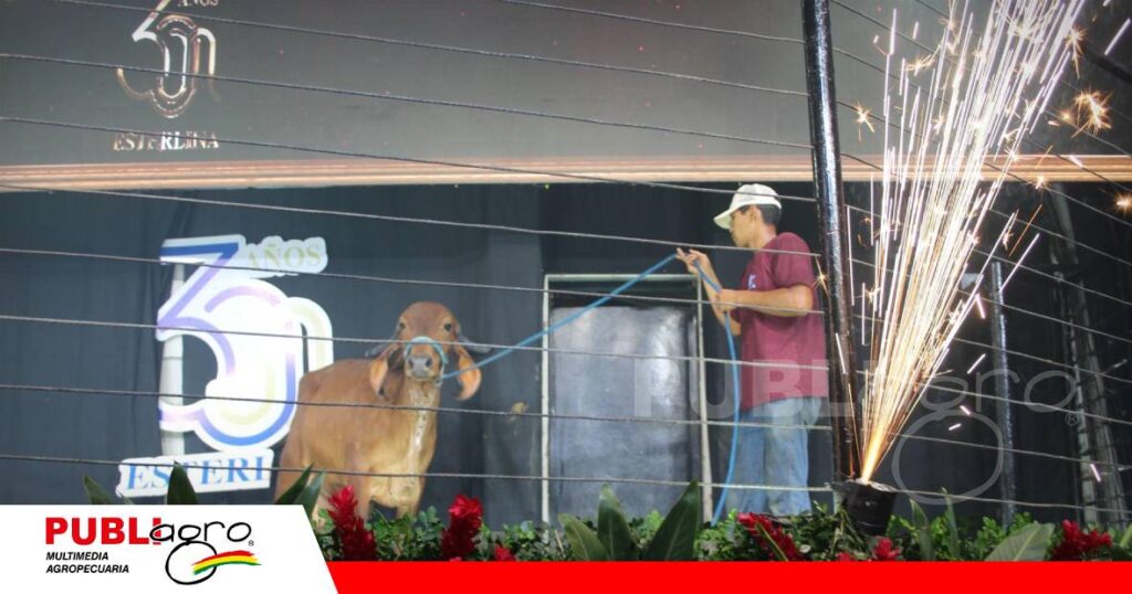 FOTO NOTAS WEB - 2026-09-30T080011.050 Cabaña Esterlina destaca el valor de su genética/ Foto: Publiagro